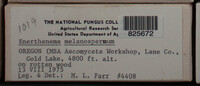 Image Associated With the Occurence